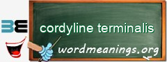 WordMeaning blackboard for cordyline terminalis
